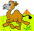 Dibujo Camello pintado por mayerlychaves