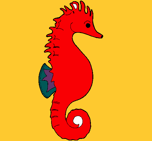 Caballito de mar