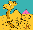 Dibujo Camello pintado por zoe