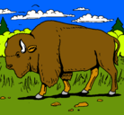 Dibujo Búfalo  pintado por Adri