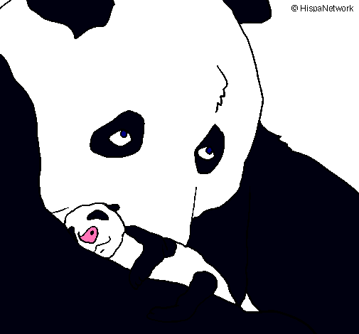 Oso panda con su cria