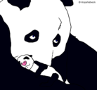 Dibujo Oso panda con su cria pintado por jael12