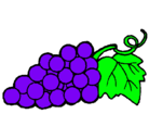 Dibujo racimo pintado por uvas