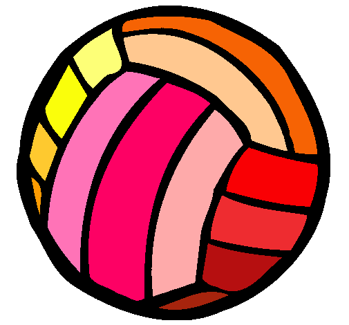 Pelota de voleibol