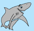 Dibujo Tiburón alegre pintado por re