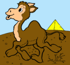 Dibujo Camello pintado por David