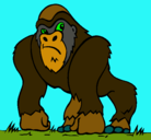 Dibujo Gorila pintado por GONZALO
