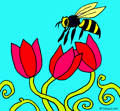 Abeja