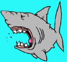Dibujo Tiburón pintado por lucíaymaría