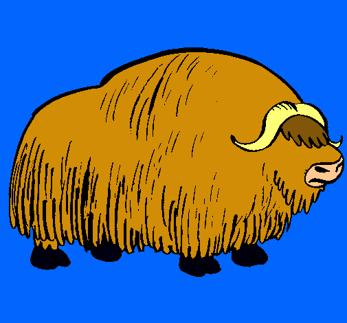 Bisonte