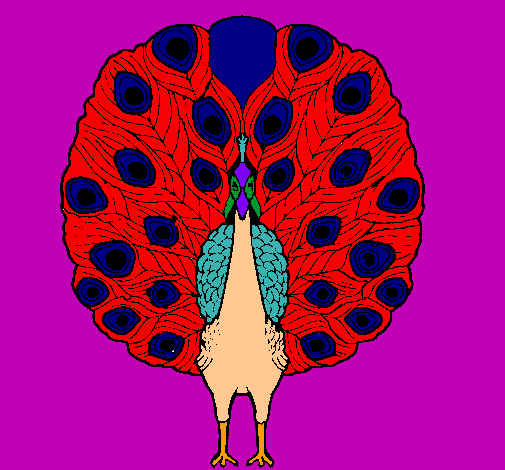 Pavo real