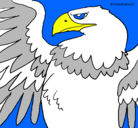 Dibujo Águila Imperial Romana pintado por MILI