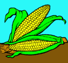 Dibujo Mazorca de maíz pintado por ISMAEL