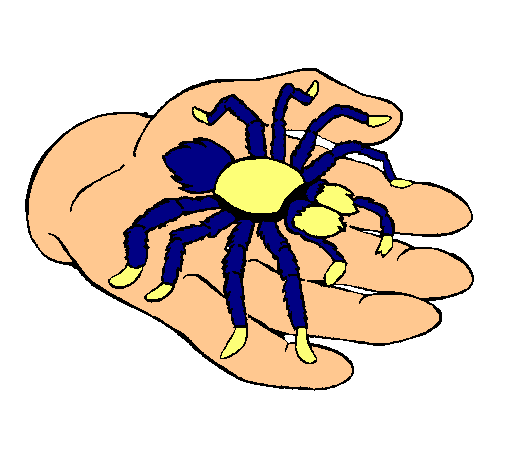 Tarántula