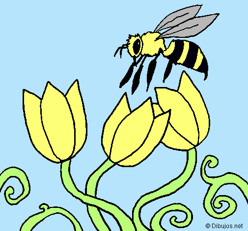 Abeja