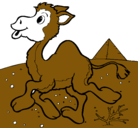 Dibujo Camello pintado por adrianll
