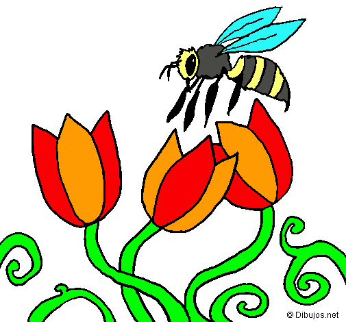 Abeja