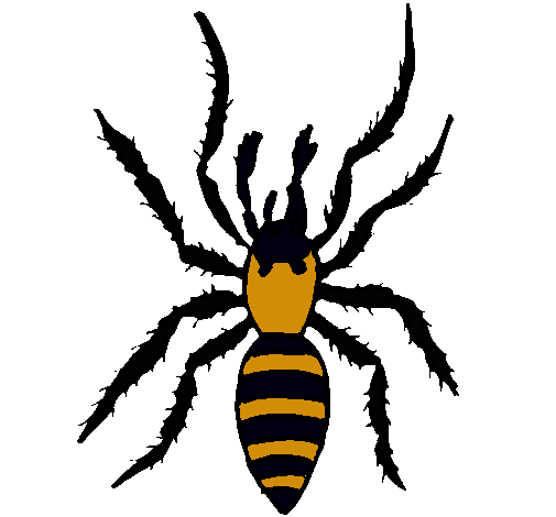 Araña tigre