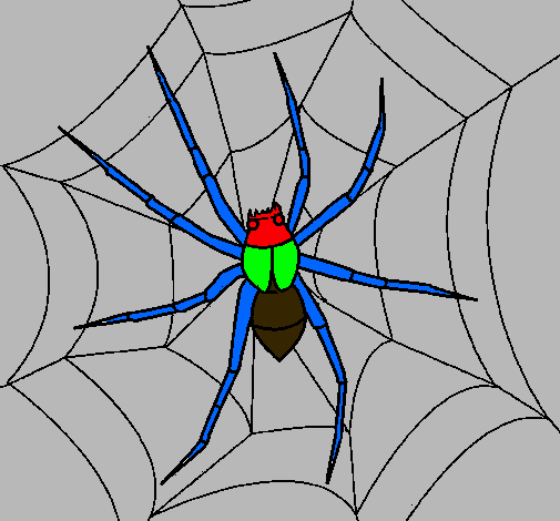 Araña