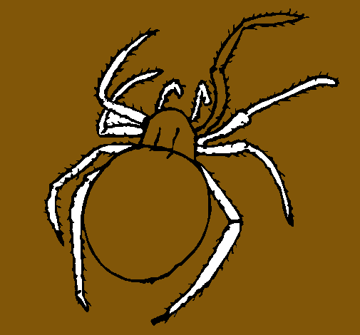 Araña venenosa