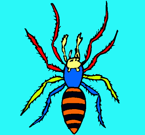 Araña tigre