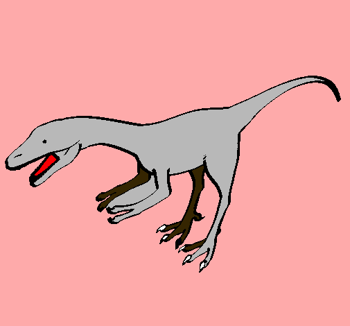 Velociraptor II