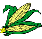 Dibujo Mazorca de maíz pintado por sandra