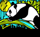 Dibujo Oso panda comiendo pintado por NATALIA