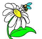 Dibujo Margarita con abeja pintado por Fuensanta