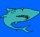 Dibujo Tiburón pintado por EDU