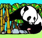 Dibujo Oso panda y bambú pintado por mmaria