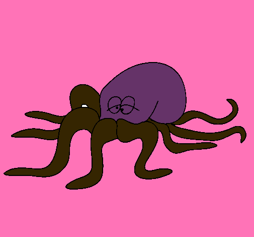 Pulpo