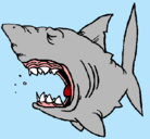 Dibujo Tiburón pintado por XURAMI
