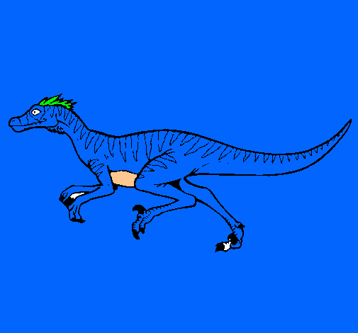 Velociraptor