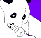 Dibujo Oso panda con su cria pintado por regiszs