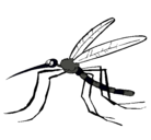 Dibujo Mosquito pintado por dyann