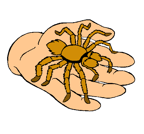 Tarántula