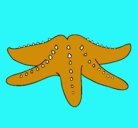 Dibujo Estrella de mar pintado por chelci