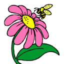 Dibujo Margarita con abeja pintado por anthonellamanrique