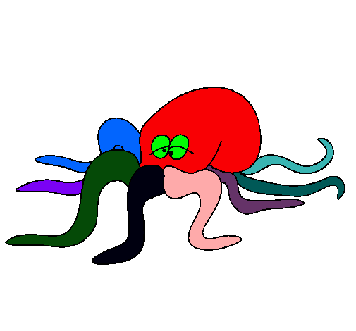 Pulpo