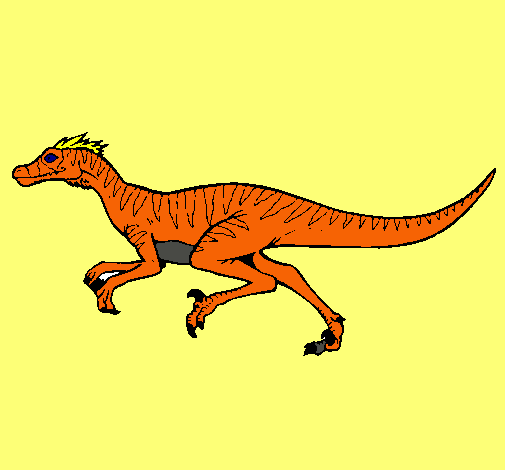 Velociraptor