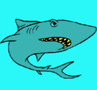Dibujo Tiburón pintado por isaynico