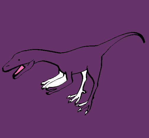 Velociraptor II