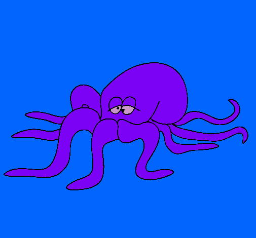 Pulpo