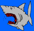 Dibujo Tiburón pintado por DX