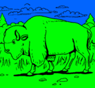 Dibujo Búfalo  pintado por elian