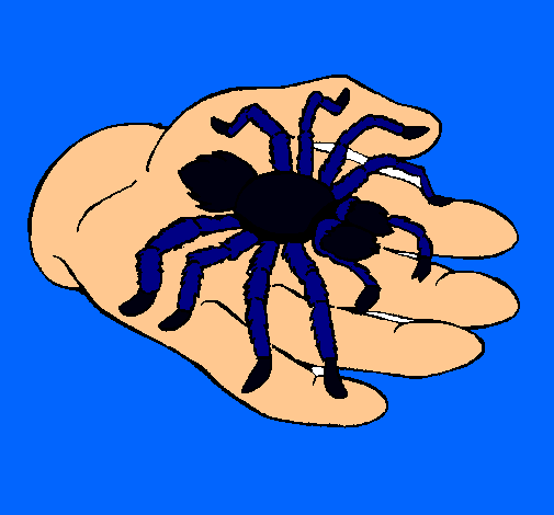 Tarántula