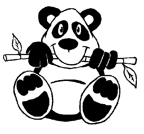 Oso panda