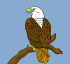 Dibujo Águila en una rama pintado por goku