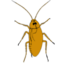 Dibujo Cucaracha grande pintado por jut